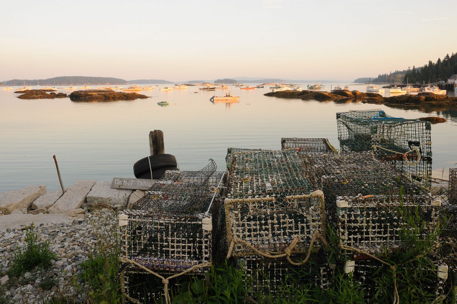 Lobster traps, Stonington, Maine, USA